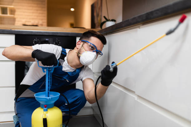 Best Pest Inspection Near Me  in Mountain View Acres, CA