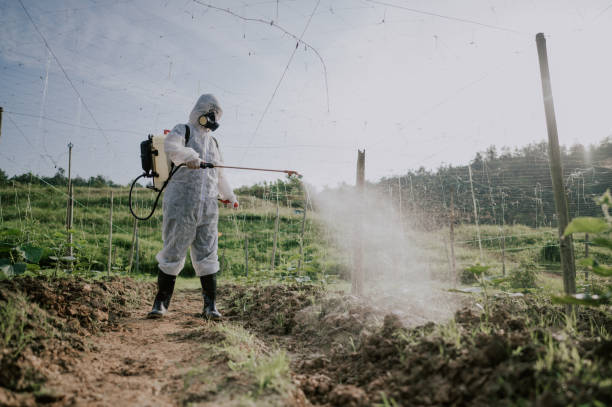 Best Pest Prevention Services  in Mountain View Acres, CA