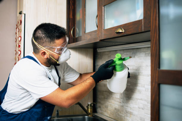Best Best Pest Control Companies  in Mountain View Acres, CA