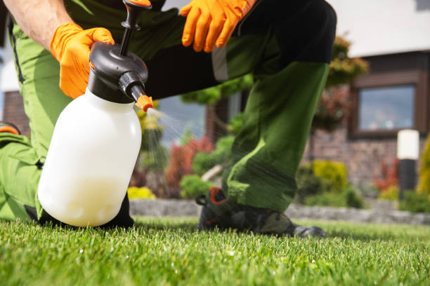 Reliable Mountain View Acres, CA Pest Control Solutions