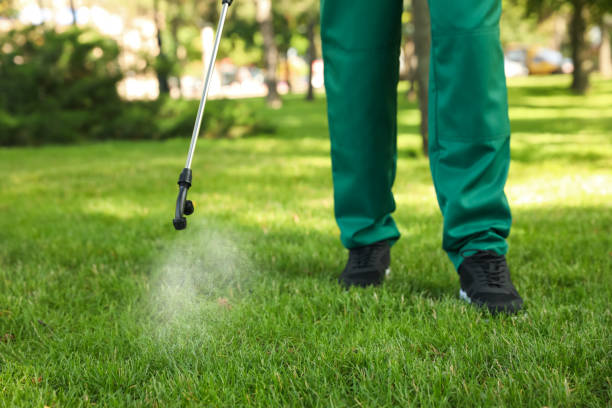 Best Wasp Removal Services  in Mountain View Acres, CA