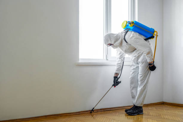 Best Emergency Pest Control  in Mountain View Acres, CA