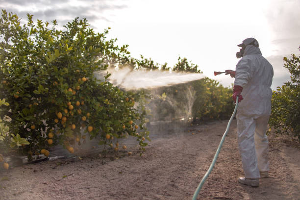 Best Commercial Pest Control Services  in Mountain View Acres, CA