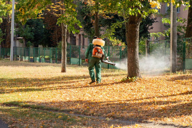 Best Rat Extermination Near Me  in Mountain View Acres, CA