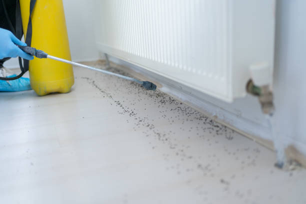 Mountain View Acres, CA Pest Control Company